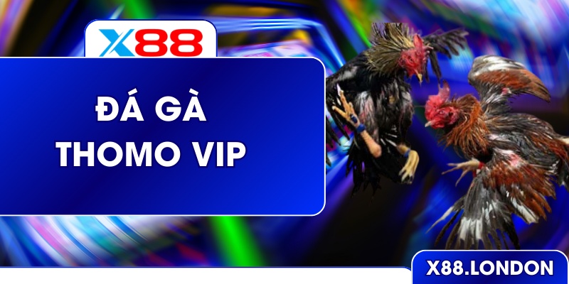 Đá Gà Thomo Vip